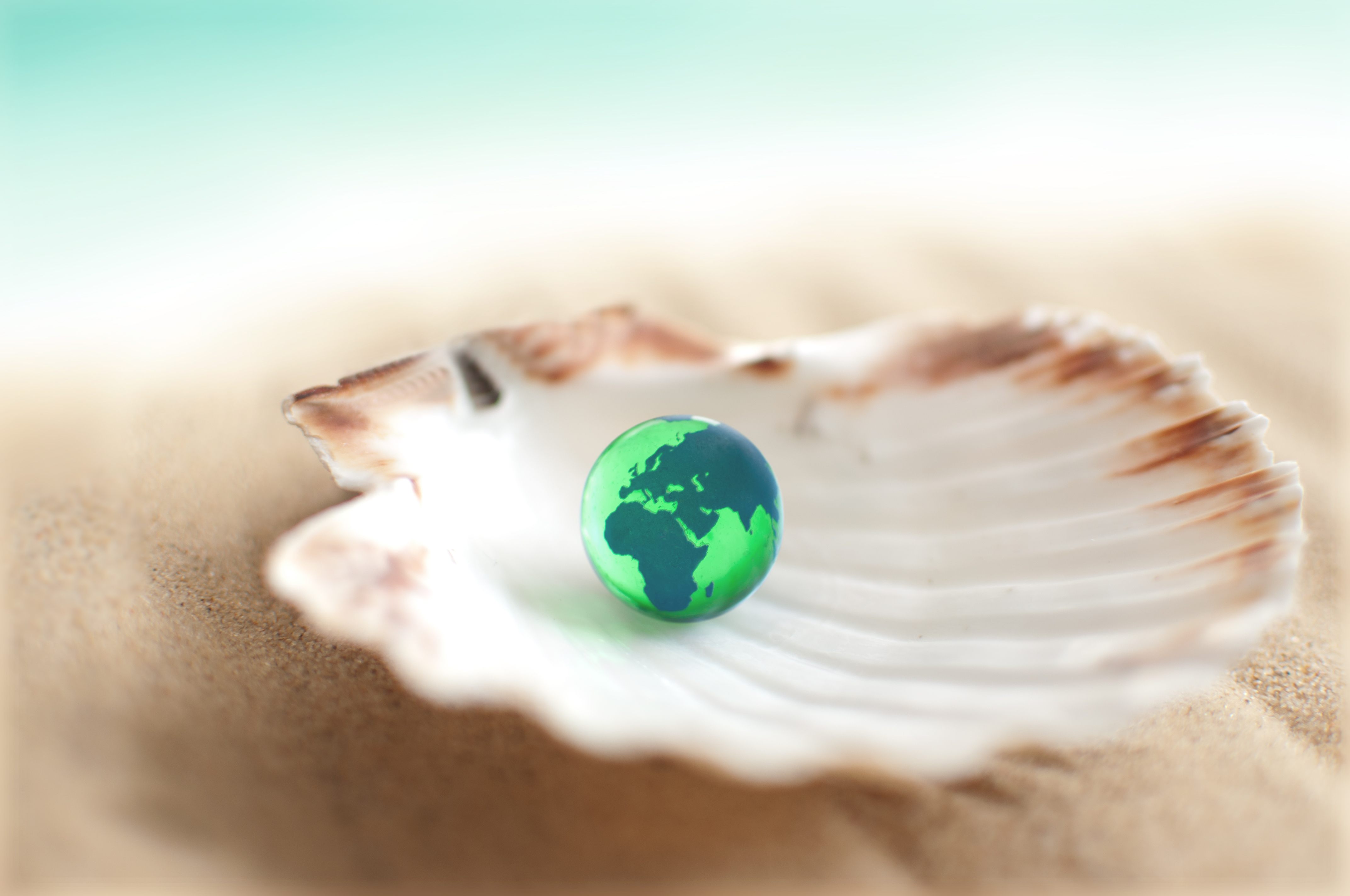 You’re a NJ Realtor®, the WORLD is your oyster!